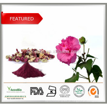 Alta Qualidade 100% Natureza Hibiscus Flor Extrato 10: 1 Pó a granel